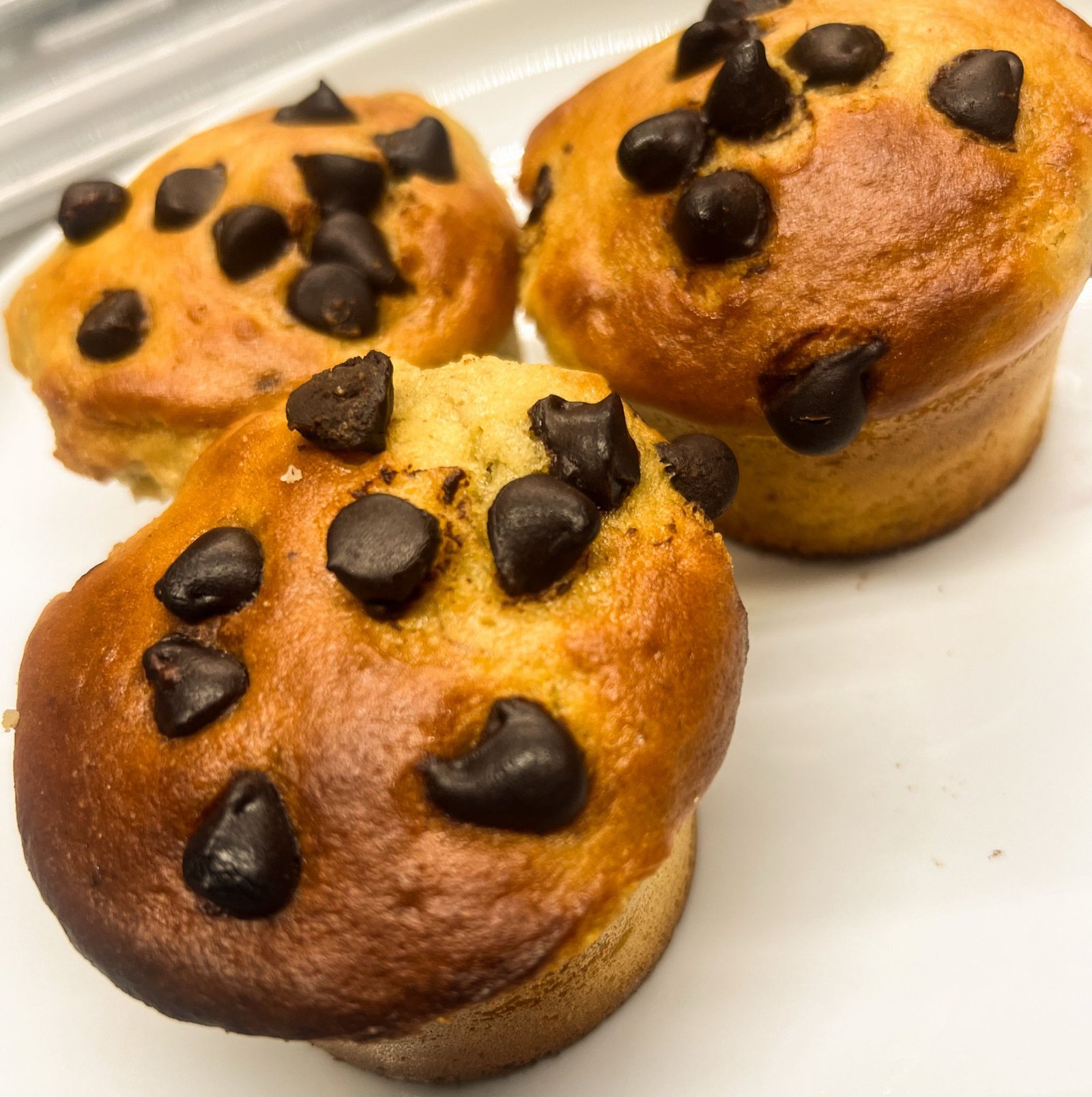 Chocolate Chip Protein Muffins (2 servings)